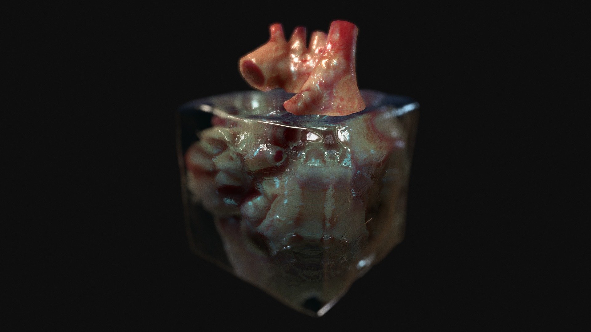 Old project updated with Sketchfab new features: subsurface scattering for the heart and refraction for the ice 3d model