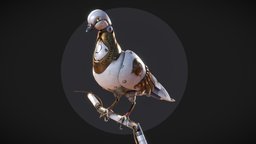 Robot Pigeon "Pavel" steampunk, topology, bird, pigeon, mechanical, dove, robotic, subdivision, midpoly, substancepainter, blender, pbr, sculpture, robot, gold