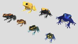 7 kinds of Poison dart frog [3] frog, poisondartfrog, low-poly