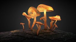 Mushroom on Tree_Baked Lighting Map scene, mushroom, background, substance, lighting, blender