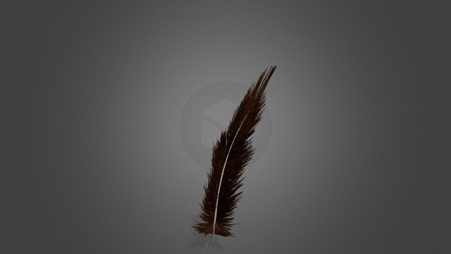 Modeled in Maya using XGen and textured in Substance Painter - Feather Textured Test - 3D model by cathairk4 3d model