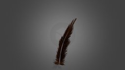 Feather Textured Test 