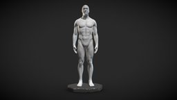 Male Anatomy Statue body, anatomy, statue, zbrush, male, sculpture