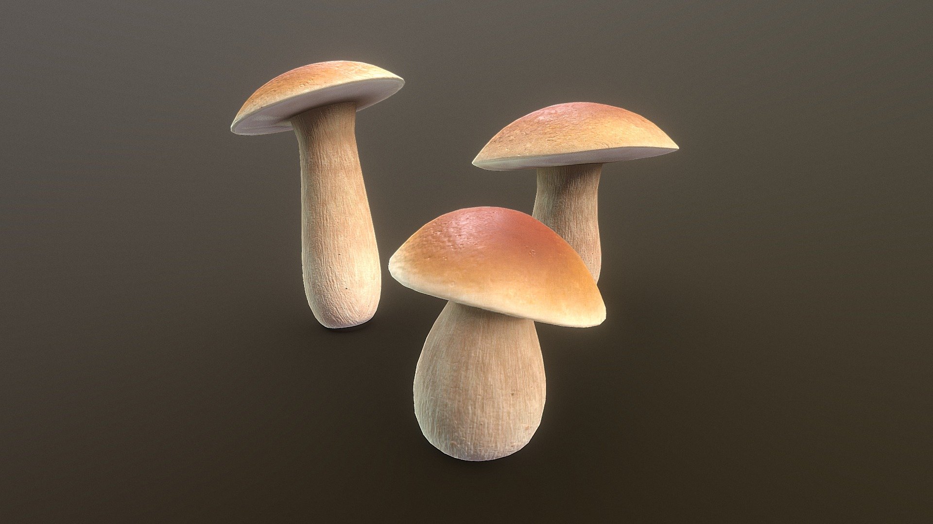 A set of 3 handpainted mushrooms, type Boletus chippewaensis (also called cep or porcini). Textured with Substance Painter 3d model