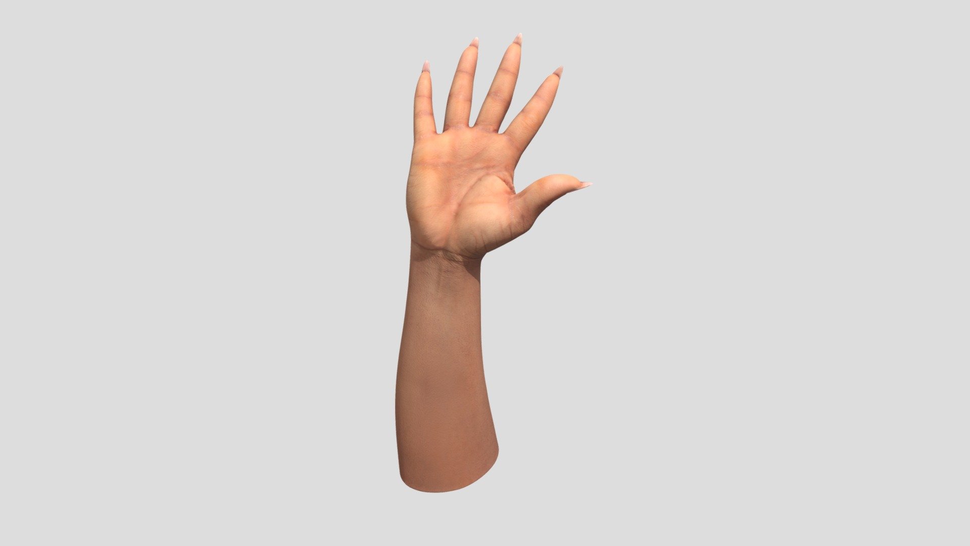 We would like to introduce you to one of the many retopologized hands that offers precise retopology.This hand is perfect for anyone looking for a realistic and aesthetically crafted model for their projects. Find out how this collection can enrich your creative work and give it the visual punch it needs!

Ethnicity: Black Gender: female Age: 35 Height: 165 cm Weight: 55 kg

NOTE: Retopologized scan with postproduction.

Technical Specifications:

1 x OBJ. File / 16 600 polys 2 x 8K PNG Texture - Diffuse, Normal

3Dsk provides all you need from virtual casting studio. Model casting, neutral &amp; morph expression scans, full body scans, accessories and cloth scans, 3D postproduction, photoshooting of full body, portrait, hair, eyes and skin &amp; other on demand services 3d model