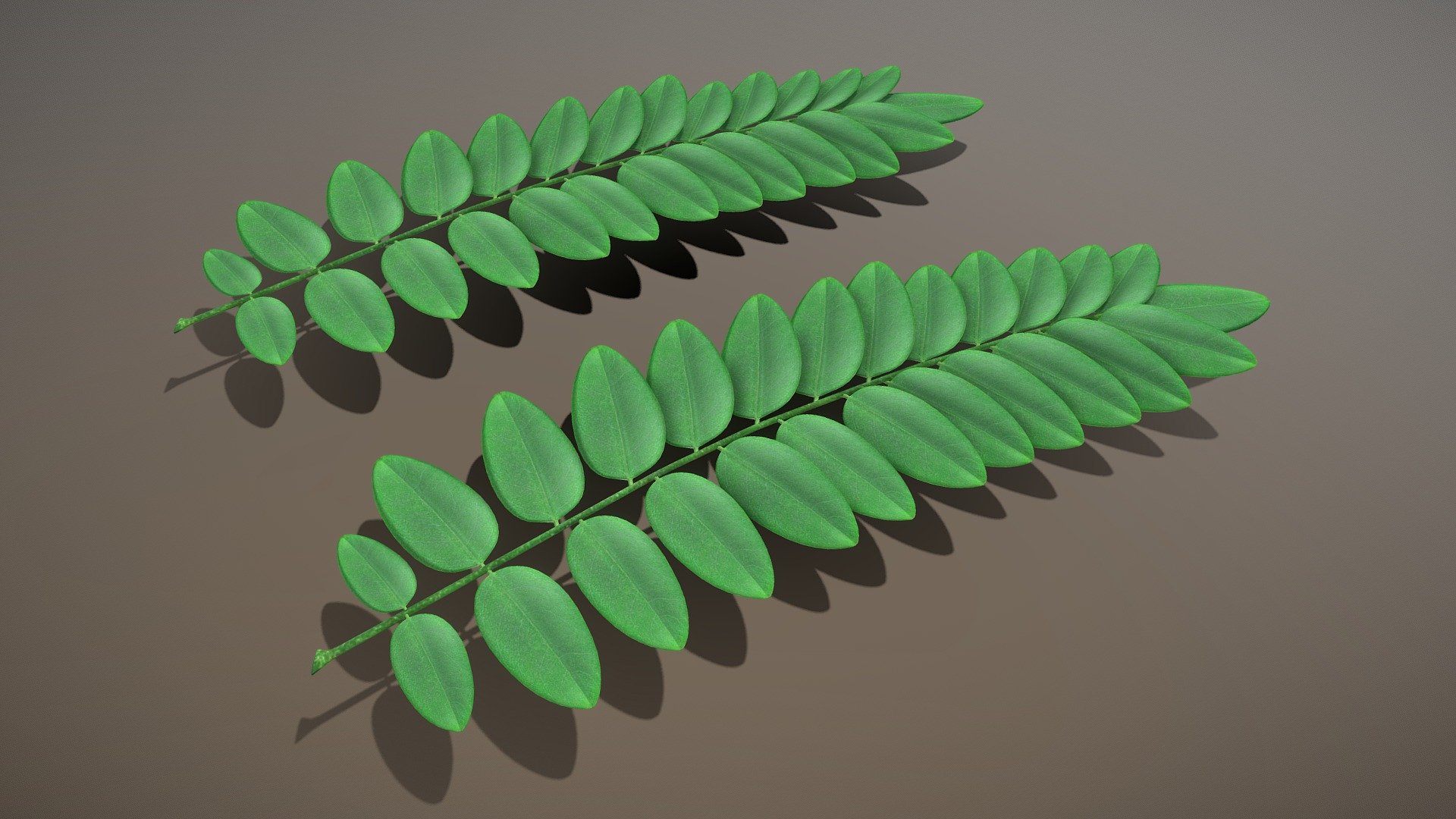 Black Locust Branch (Robinia) - High-Poly



Object Name - Robinie Leave High-Poly 
Object Dimensions -  3.402m x 8.777m x 0.367m



Vertices = 15178
Edges = 30248
Polygons = 15124


3D model formats: 


Native format (*.blend)
Autodesk FBX (.fbx)
OBJ (.obj, .mtl)
glTF (.gltf, .glb)
X3D (.x3d)
Collada (.dae)
Stereolithography (.stl)
Polygon File Format (.ply)
Alembic (.abc)
DXF (.dxf)
USDC
 - Black Locust Branch (Robinia) - High-Poly - Buy Royalty Free 3D model by VIS-All-3D (@VIS-All) 3d model
