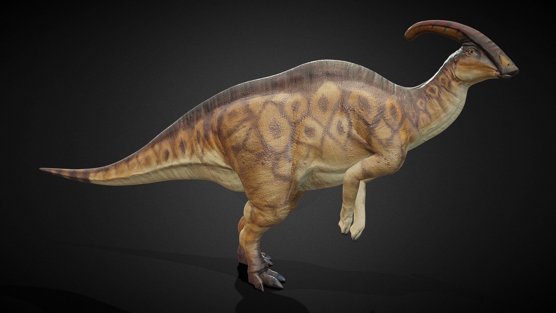 My new and improved 2022 Parasaurolophus model!

High-quality, custom designed, Parasaurolophus model, with 2 Level of Details available, Rigging and High-quality PBR 8K textures. Suitable for both game-asset, and cinematic animation.

Visit my portfolio for more images of the model and the product's package: https://www.artstation.com/artwork/X10RbY

The native file type is BLEND as it was created with Blender, however with OBJ, FBX as well as PBR textures provided, it will work with any 3D programs.

In this package includes:



Blender file (.BLEND) with armature rigging, proper materials and PBR textures set up.



PBR textures in 8K, including these maps: Color, Roughness, Normal map. Skins include Male and Female version.



OBJ and FBX files.



Thank you for your support of my products and look out for more soon 3d model