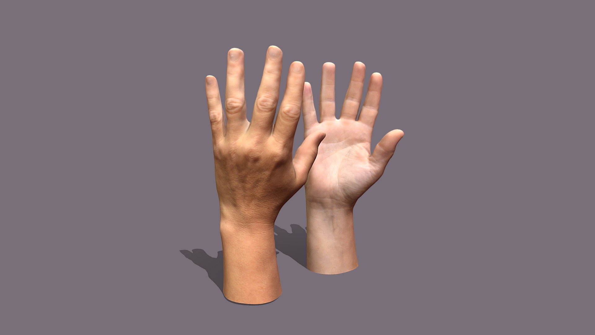 a pair of 45 years old Female Hands

Photos taken with D5300 + 18-55mm Nikkor - Female Hands - Buy Royalty Free 3D model by Lassi Kaukonen (@thesidekick) 3d model