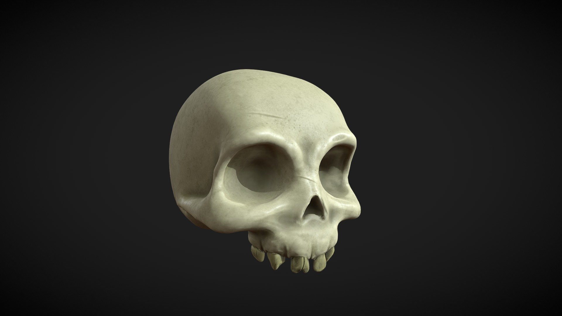 Stylized Skull - Download Free 3D model by skinny hands (@skinnyhands) 3d model