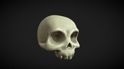 Stylized Skull stylized-texture, substancepainter, handpainted, texture, skull, stylized, bones, stylizedstation