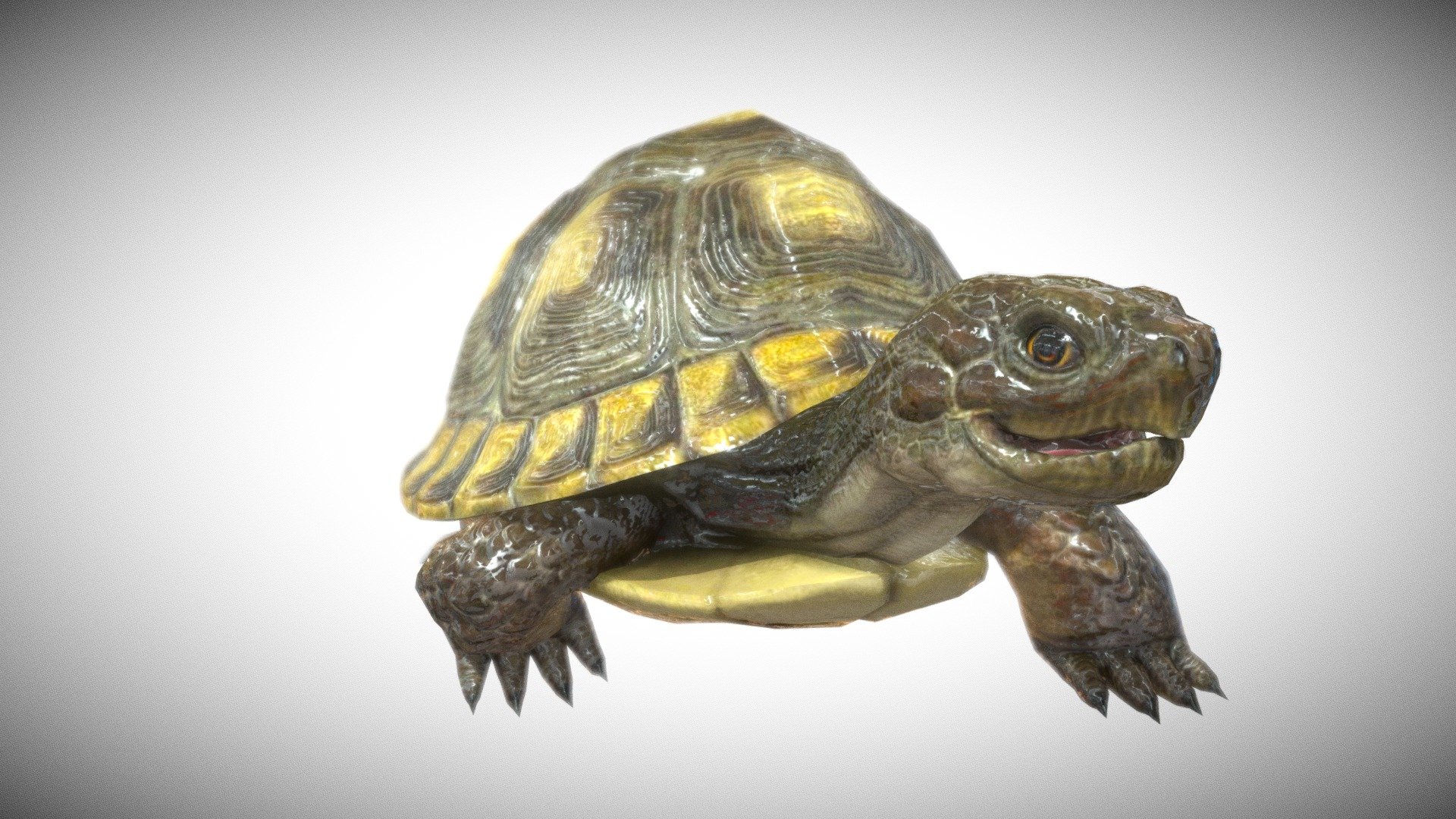 Hunting Gameready character , related animations: Walk (2 types), Idle (3 types), Attack (2 types), Die (4 types), Run (2 types), other actions (6 types) - Turtle - 3D model by ElectroNick 3d model