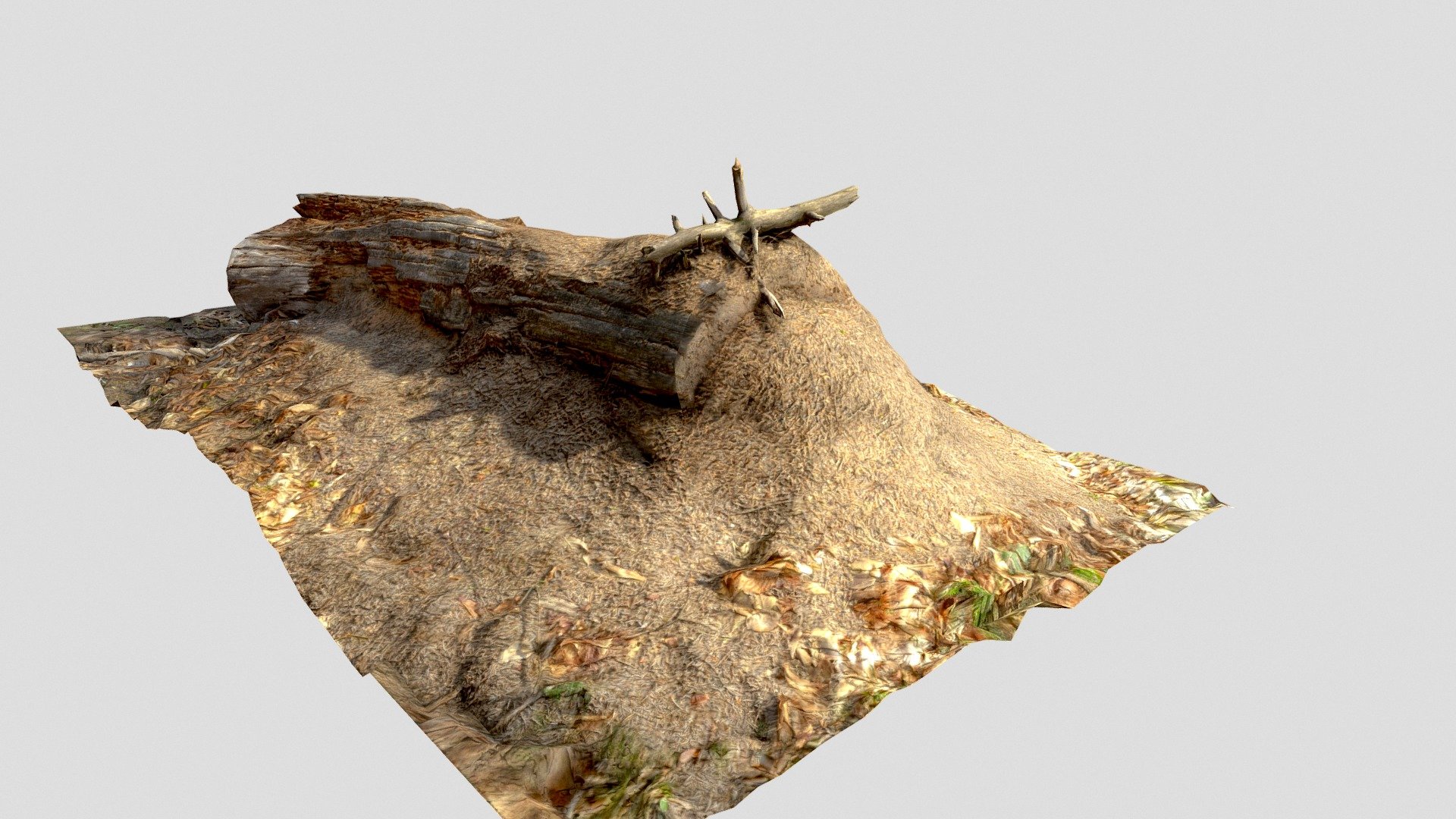 Quick 3D scan an Old Ant Nest Log, shot with cross-polarized technique for true albedo.

Great for scenes for themes: Forests, Nature areas, Parks, Woods




Quads only (Fast loading, and economic mesh)

8K Textures: Base Color, Normal, Height

Models: 5K
(Raw scan is 350mil polys - contant me if you need it)
 - Ant Nest Log - 3D model by Reality Scanning (@realityscanning) 3d model