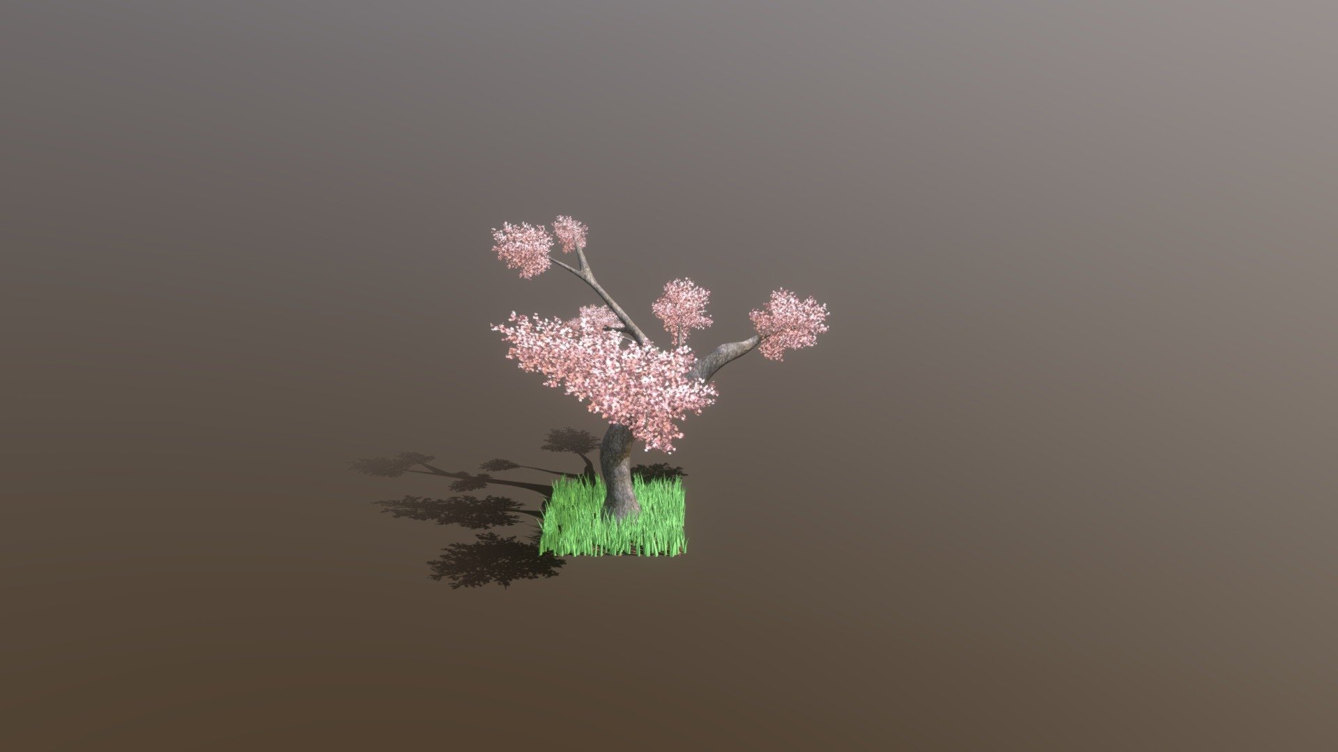 An attempt at a cherry blossom gone wrong most likely 3d model