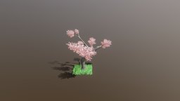 Cherry Blossom tree, folliage
