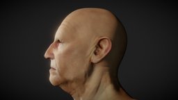 Generic old man head sculpt base, anatomy, tattoo, sss, old, head, sculptgl, procreate, subsurface, tattos, man, human, male, skin, procreate5x, procreate52, procreateready