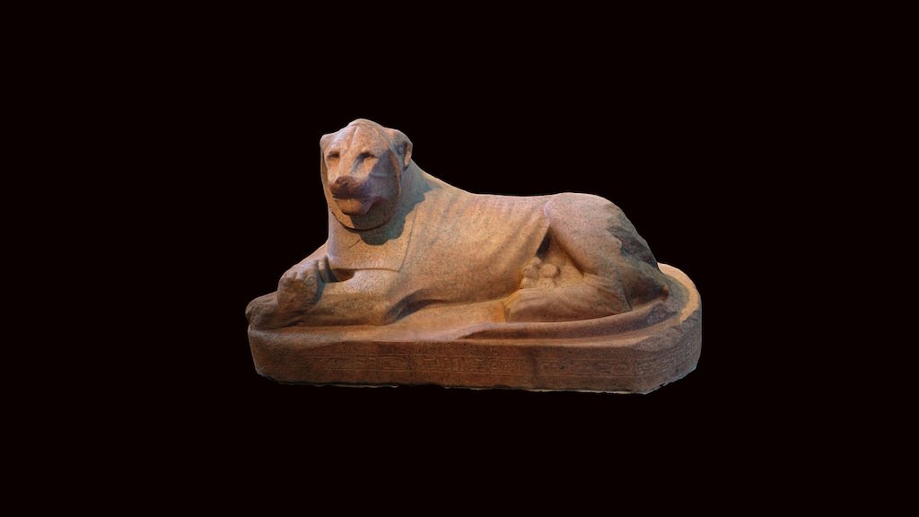 A red granite lion of Amenhotep III from Gebel Barka, Nubia (Sudan).

Height 117cm, width 87 cm, length 250 cm.

COL: http://www.britishmuseum.org/research/collection_online/collection_object_details.aspx?partId=1&amp;objectId=111359

Compiled by Daniel Pett from 192 photos on a OnePlus3 mobile phone 3d model