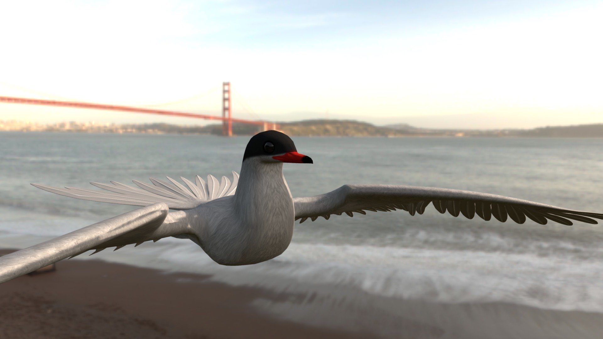 This is my model of a Arctic Tern bird with 16 animations and poses. In the wild these birds cover the Arctic and sub-Arctic regions of Europe, Asia, and North America.

Modeling, rigging, animating, &amp; textures were created with: Blender + Paint.net graphics editor 3d model