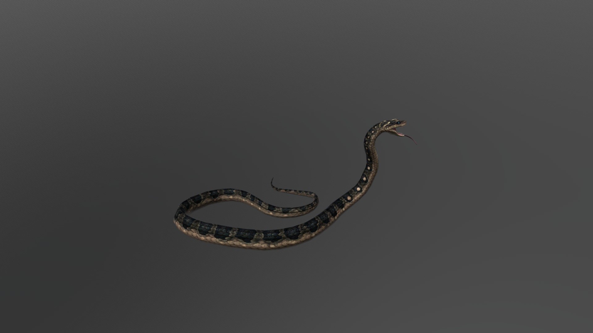 Snake - 3D model by Chen (@chenjin3d) 3d model
