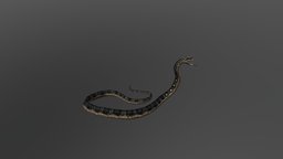 Snake snake, 3dsmax