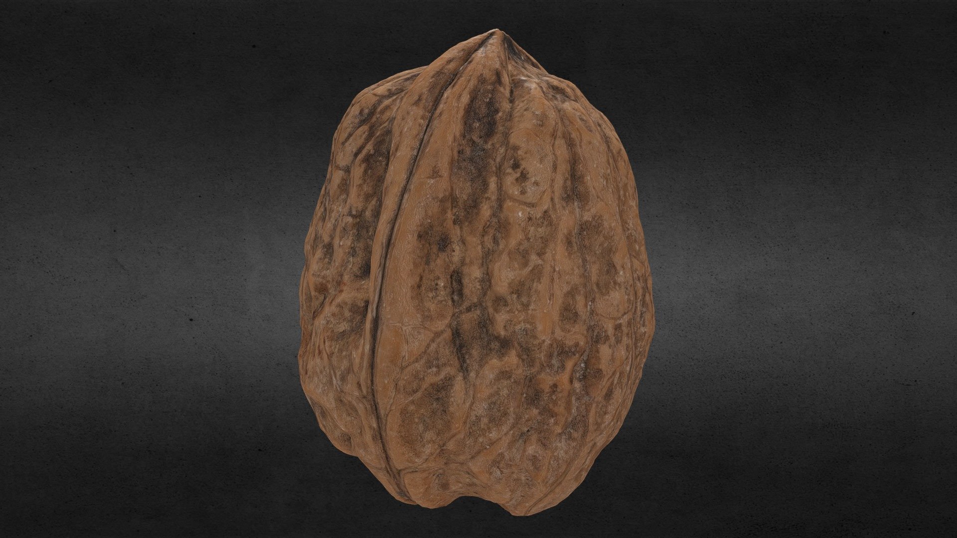 Walnuts are the round, single-seed stone fruits of the walnut tree. They are commonly used for food. They ripen between September and November in the northern hemisphere. The brown, wrinkly walnut shell is enclosed in a husk.[1] Shells of walnuts available in commerce usually have two segments (but three or four-segment shells can also form). During the ripening process, the husk becomes brittle and the shell hard. The shell encloses the kernel or meat, which is usually in two halves separated by a membranous partition.[1] The seed kernels – commonly available as shelled walnuts – are enclosed in a brown seed coat which contains antioxidants. The antioxidants protect the oil-rich seed from atmospheric oxygen, preventing rancidity.

wikipedia - walnuts - noce - 8k texture - Buy Royalty Free 3D model by Franko (@franko_frullo) 3d model