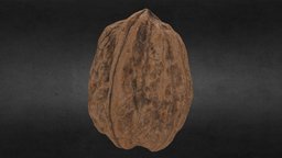 walnuts food, smallobject, noce, architetto, photogrammetry, 3d, frullini, walnutstairs