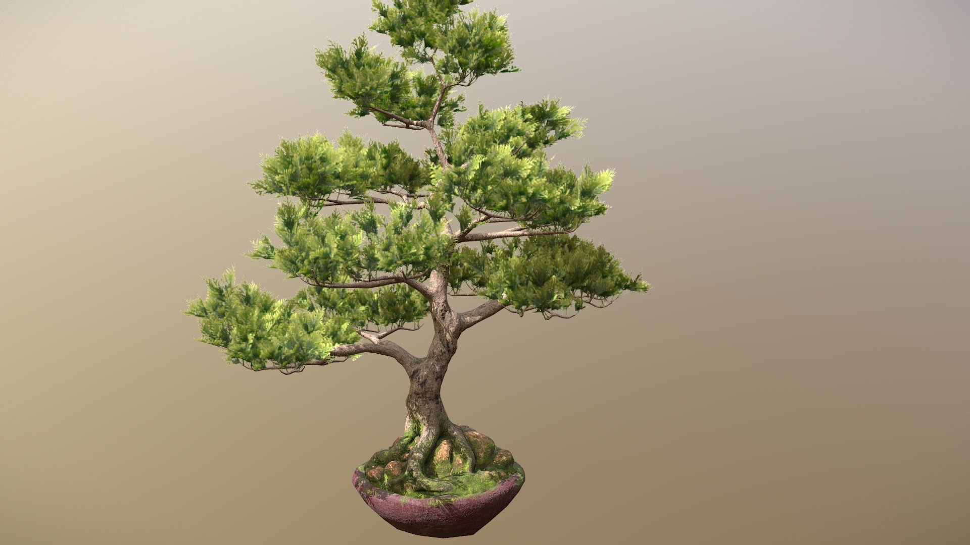 Bonsai tree sculpted in zbrush, textured in substance painter and rendered on blender with eevee realtime engine

PBR textures 4k - Bonsai Tree - Buy Royalty Free 3D model by felipehez 3d model