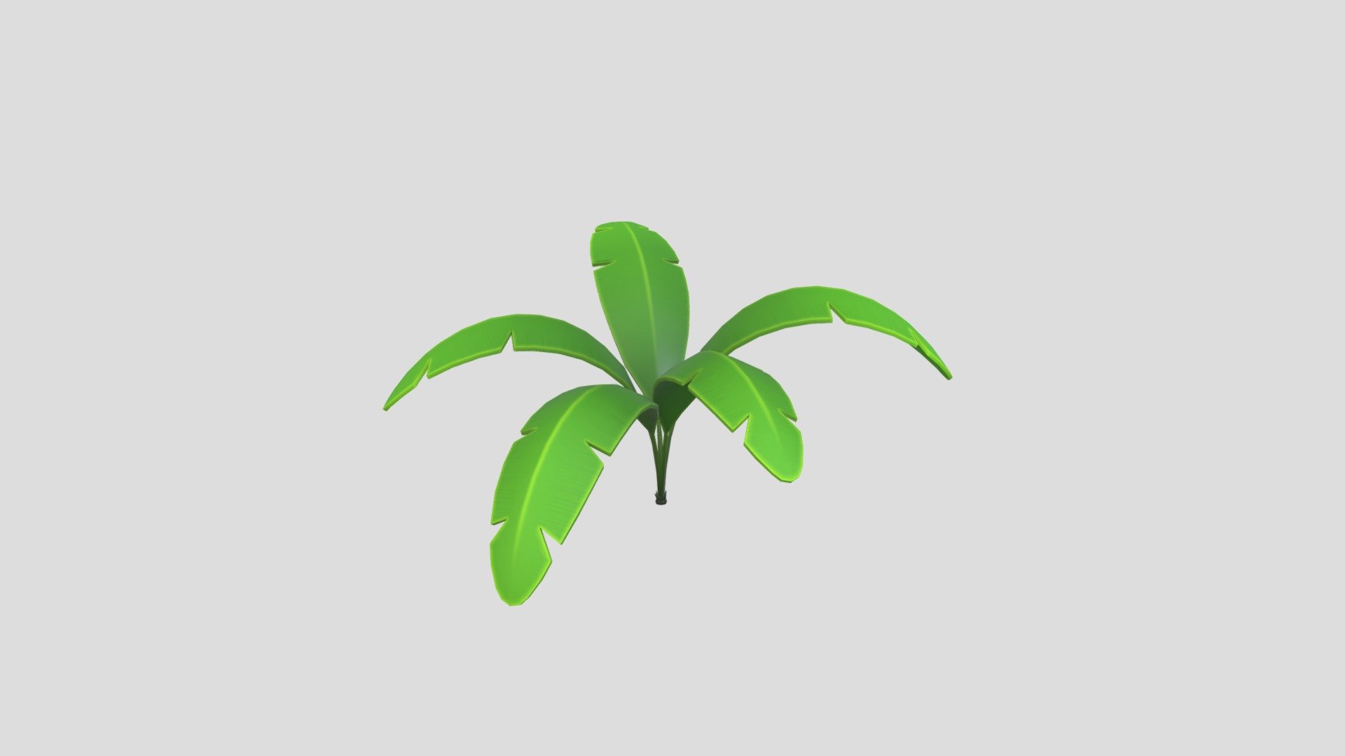 Banana Plant 3d model.      
    


File Format      
 
- 3ds max 2021  
 
- FBX  
 
- OBJ  
    


Clean topology    

No Rig                          

Non-overlapping unwrapped UVs        
 


PNG texture               

2048x2048                


- Base Color                        

- Normal                            

- Roughness                         



1,097 polygons                          

977 vertexs                          
 - Low Poly Banana Plant 001 - Buy Royalty Free 3D model by bariacg 3d model