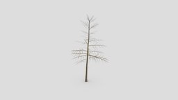 Pine Tree- Lowpoly_ 04 tree, pine, unreal, unity, 3d-pine, lowpoly-pine