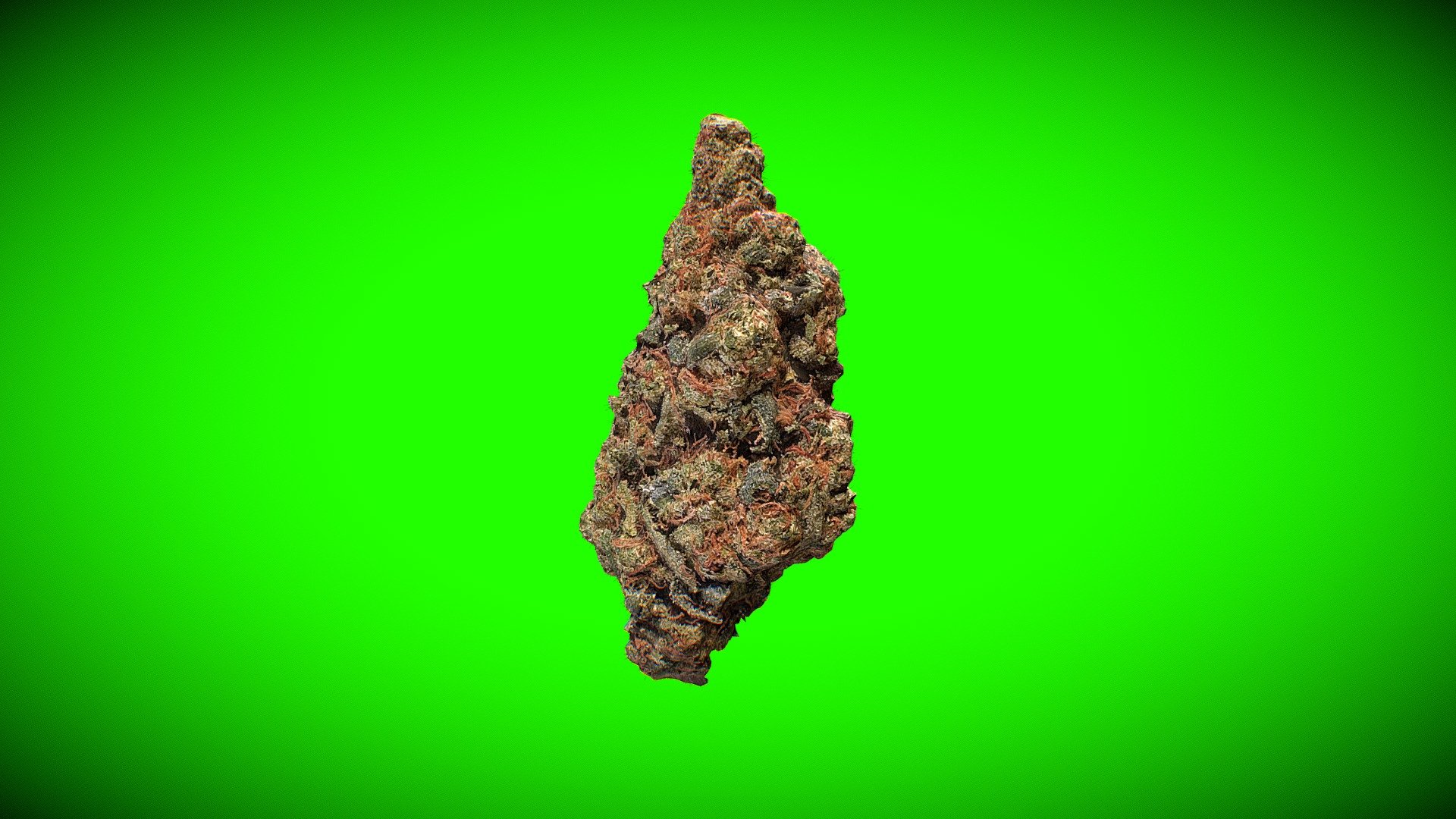 Explore the intricate beauty of cannabis with this highly detailed 3D model showcasing a weed nugget. Immerse yourself in the world of marijuana as you examine the textures, shapes, and colors of this iconic cannabis bud.

From the resinous trichomes to the vibrant green hues, this model captures the essence of a high-quality cannabis nugget. Whether you're a cannabis enthusiast, a designer incorporating natural elements into your projects, or simply curious about the intricacies of marijuana, this model offers a captivating exploration of the cannabis plant 3d model