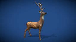 Deer wooden, vintage, deer, ornament, antique, carving, stag, art, animal
