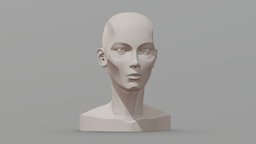 Female Planar Sculpted Head Drawing Reference anatomy, reference, planar, planar-head, female, sculpture, anantomy-reference, drawing-reference