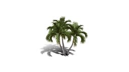 Realistic HD Christmas palm (27/35) trees, tree, plant, forest, plants, palm, asia, outdoor, foliage, nature