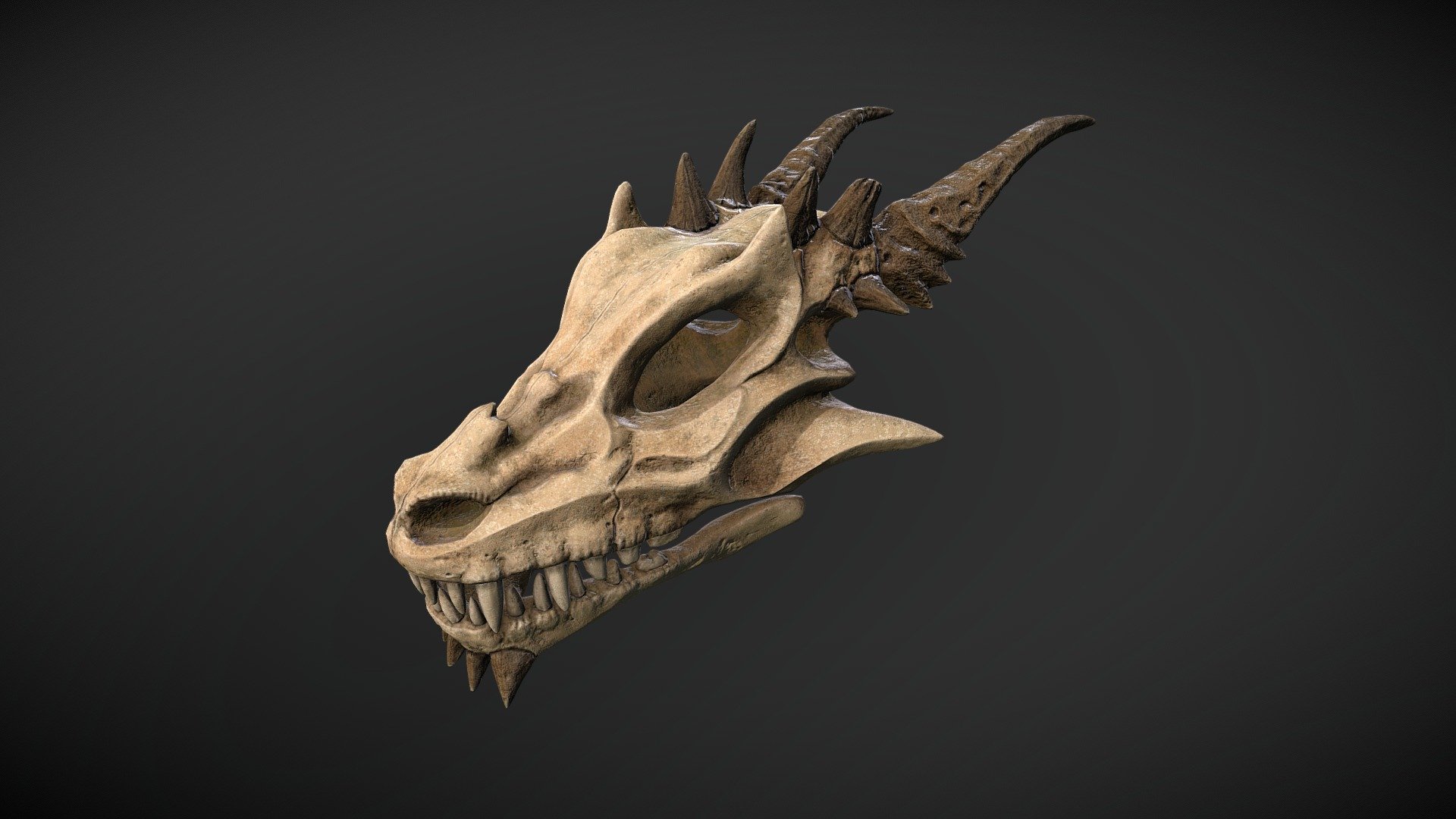 This is a model of a dragon skull. Modeled in 3ds Max, 2k texture maps, optimized topology and uv unwrapped.

Clean geometry;
Fully UV textured;
All objects, materials, textures named correctly;
Scene is organized;
Model has a real-world scale, all materials are included in max scene. File units are meters.

Object count: 4
Materials count: 1
Vertex count: 13530
Polygons count: 13775
Tris count: 26952

1 PBR set of textures:

Albedo 20482048 (png)
Normal 20482048 (png)
Roughness 20482048 (png)
Ambient occlusion 20482048 (png)
Metallic 20482048 (png)

This is a game-ready model 3d model