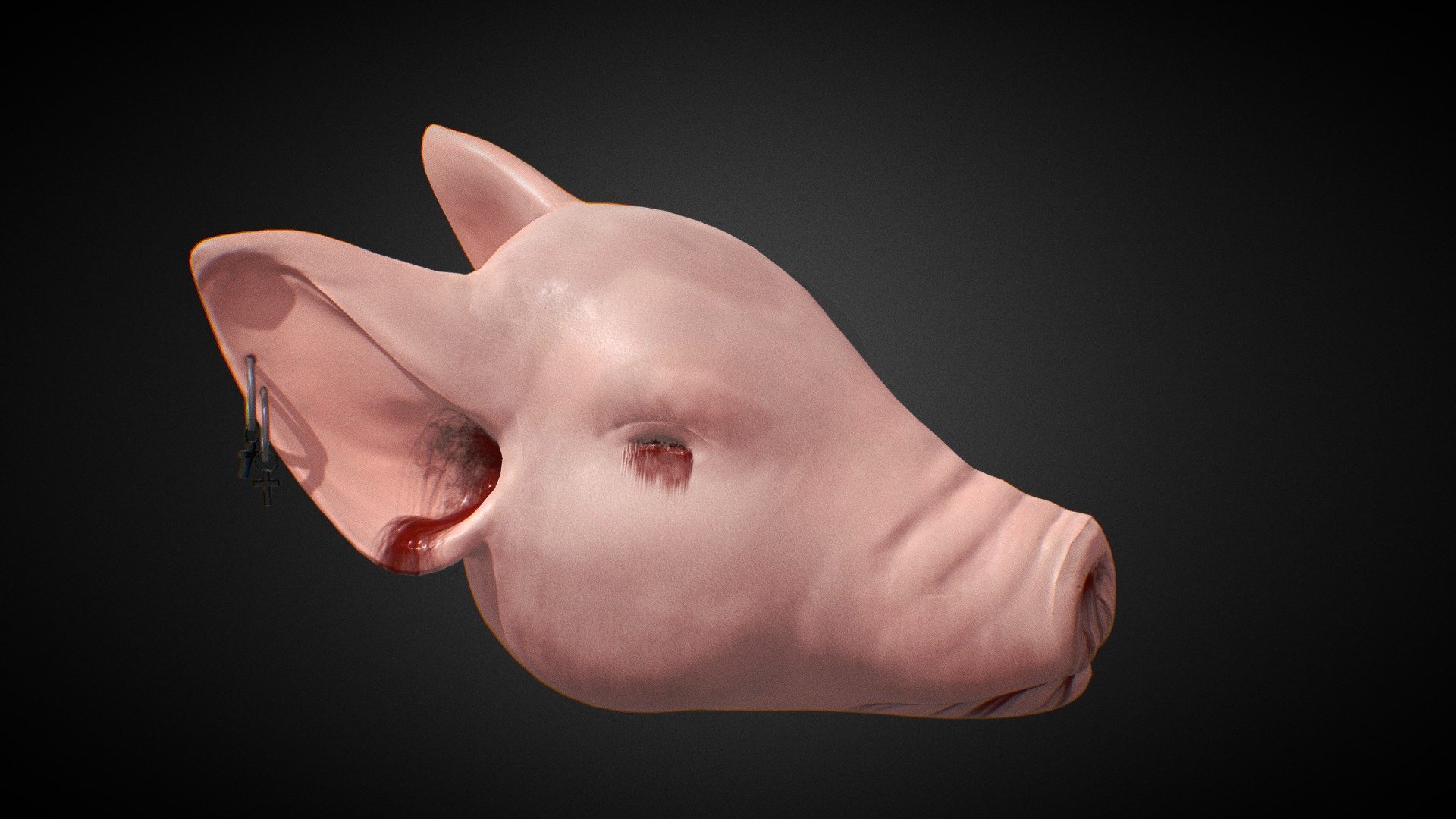A very scary pig head that has been recently cut off. There is also a couple of very stylish earrings 3d model