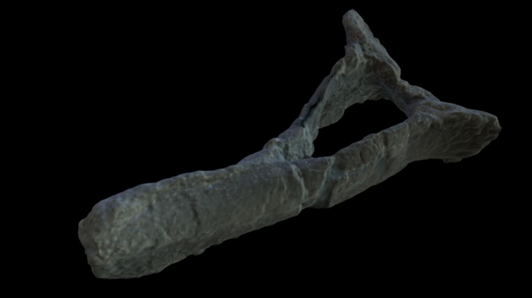 Chevron from the tail of a Brachiosaurus, recovered from the Late Jurassic Morrison Formation of Northeastern Wyoming 3d model