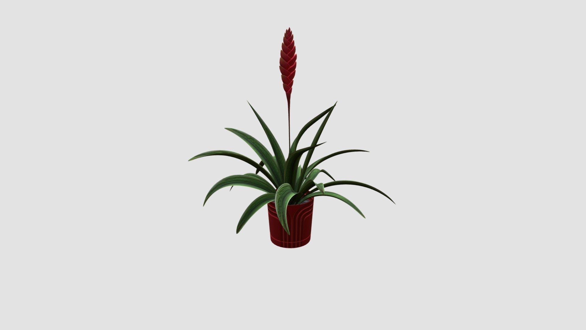 High detailed models of plant with all textures, shaders and materials. It is ready to use, just put it into your scene 3d model