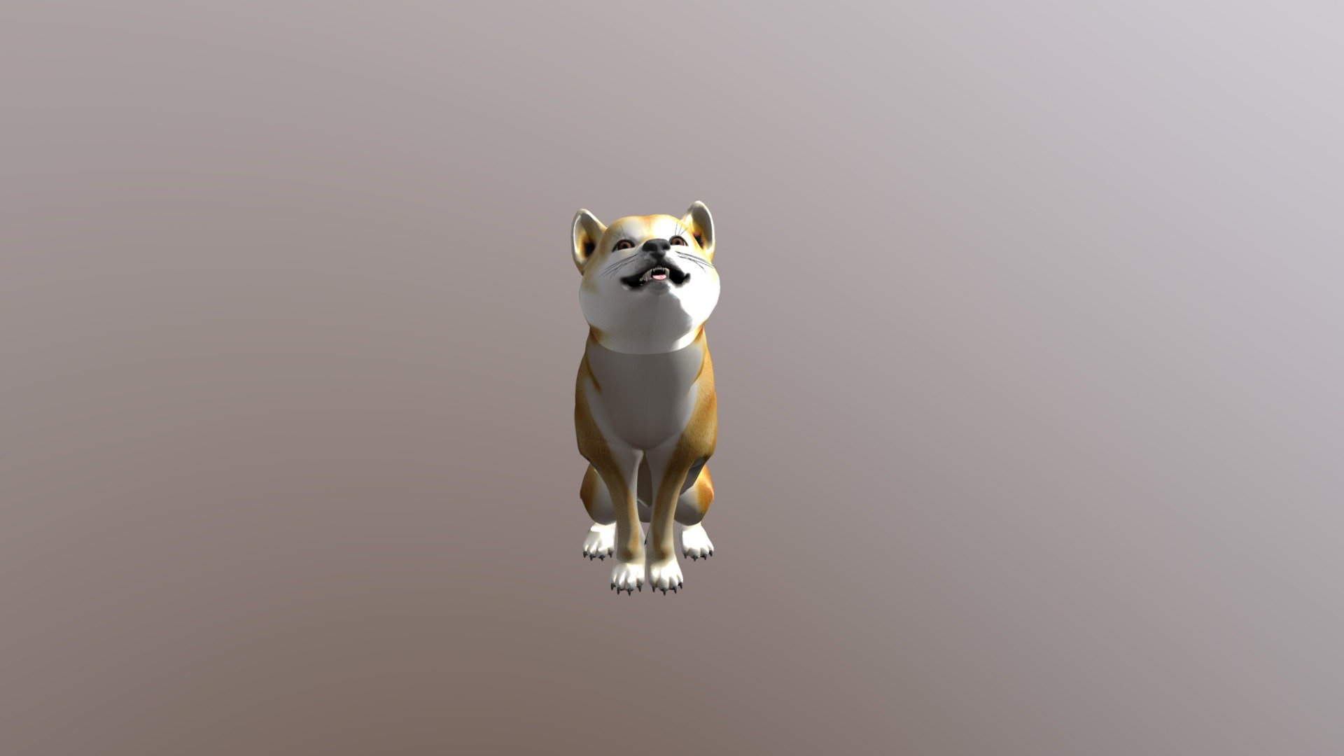 Playful animated Dog. 

Shiba Inu 3d model