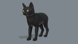 Cat cat, kitty, pet, domestic, lowpoly, animation, black