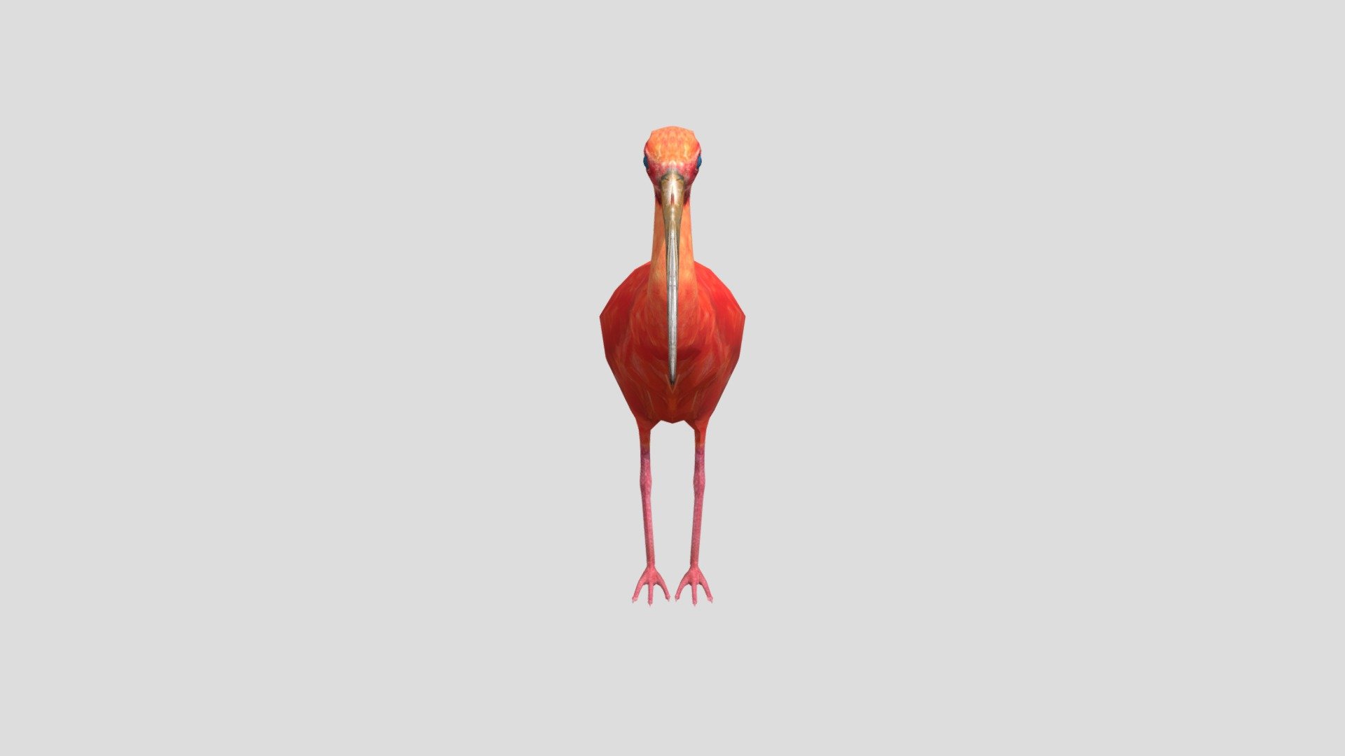 pajaro - 3D model by SAVIA_Colombia (@Minambiente_Col) 3d model