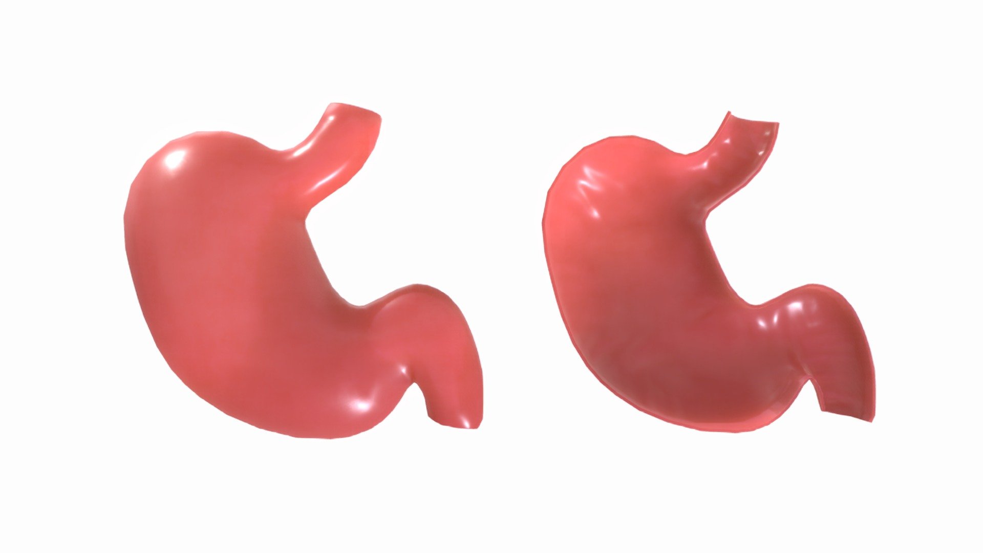 stomach human anatomy

Maps for the stomach human anatomy

Texture resolution 2048:2048




Diffuse

Normal

Glossiness

Specular

SCALE:
- Model at world center and real scale:
       Metric in centimeter
       1 unit = 1 centimeter




Quads only

No N-gons

I wish pleasant use! - Stomach - Buy Royalty Free 3D model by zames1992 3d model