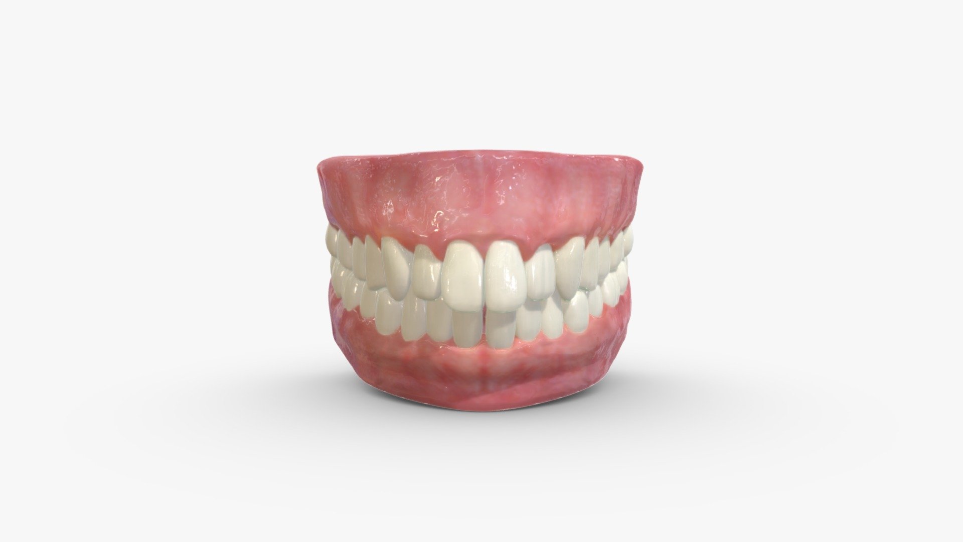 🙏 If you use these model for visual reference consider buying me a ☕ It would really help me out!  https://ko-fi.com/heledahn


This is a digital 3d model of a realistic mouth, with proportionate teeth, gums and a tongue. 






👉 I have other types of teeth avaliable at my shop with different proportions/configurations.

This model can be used either as a background prop, or as a closeup prop due to its high detail and visual quality.

This product will achieve realistic results in your rendering projects and animations, being greatly suited for close-ups due to their high quality topology and PBR shading 3d model