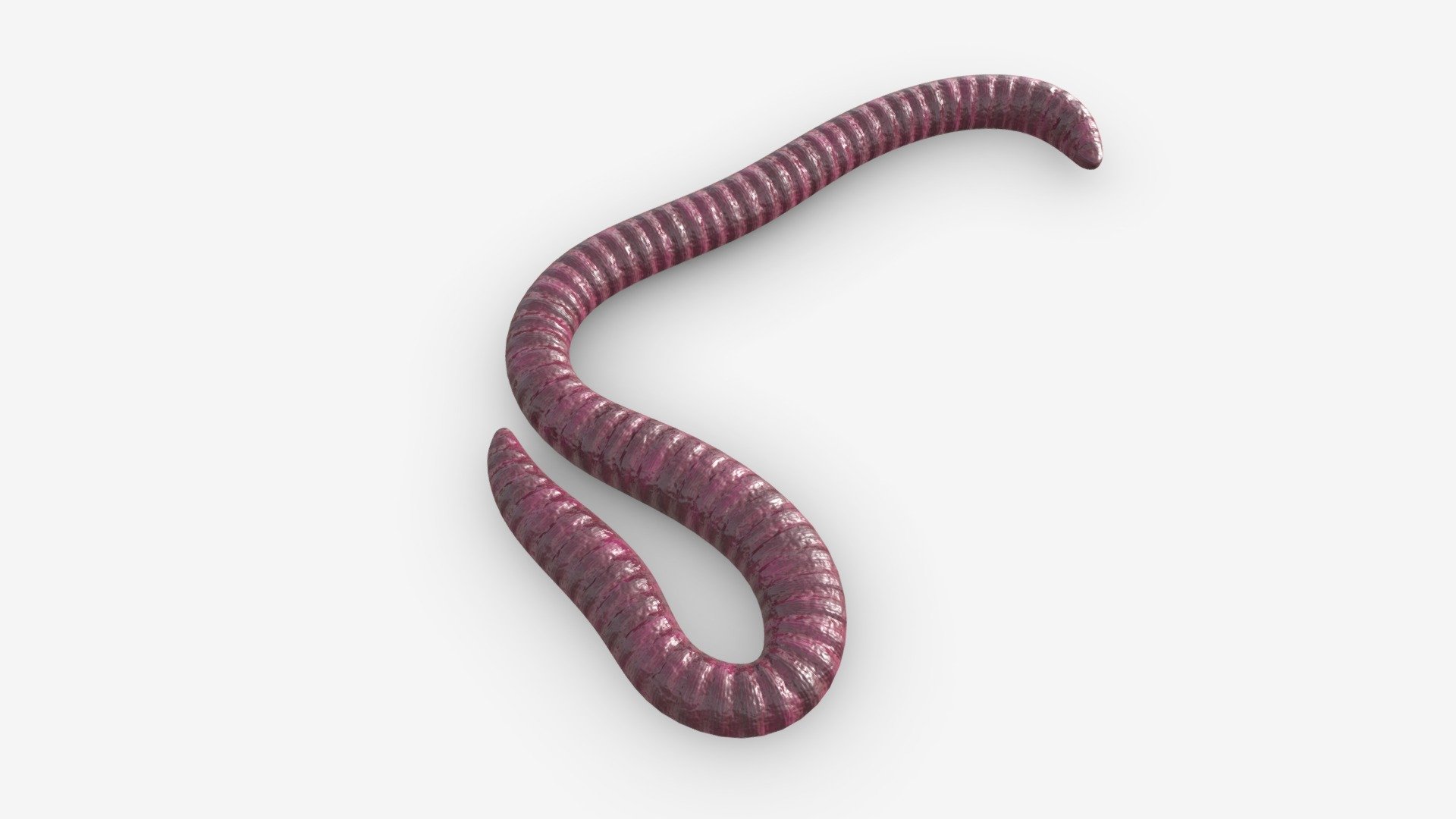 Red worm 01 - Buy Royalty Free 3D model by HQ3DMOD (@AivisAstics) 3d model