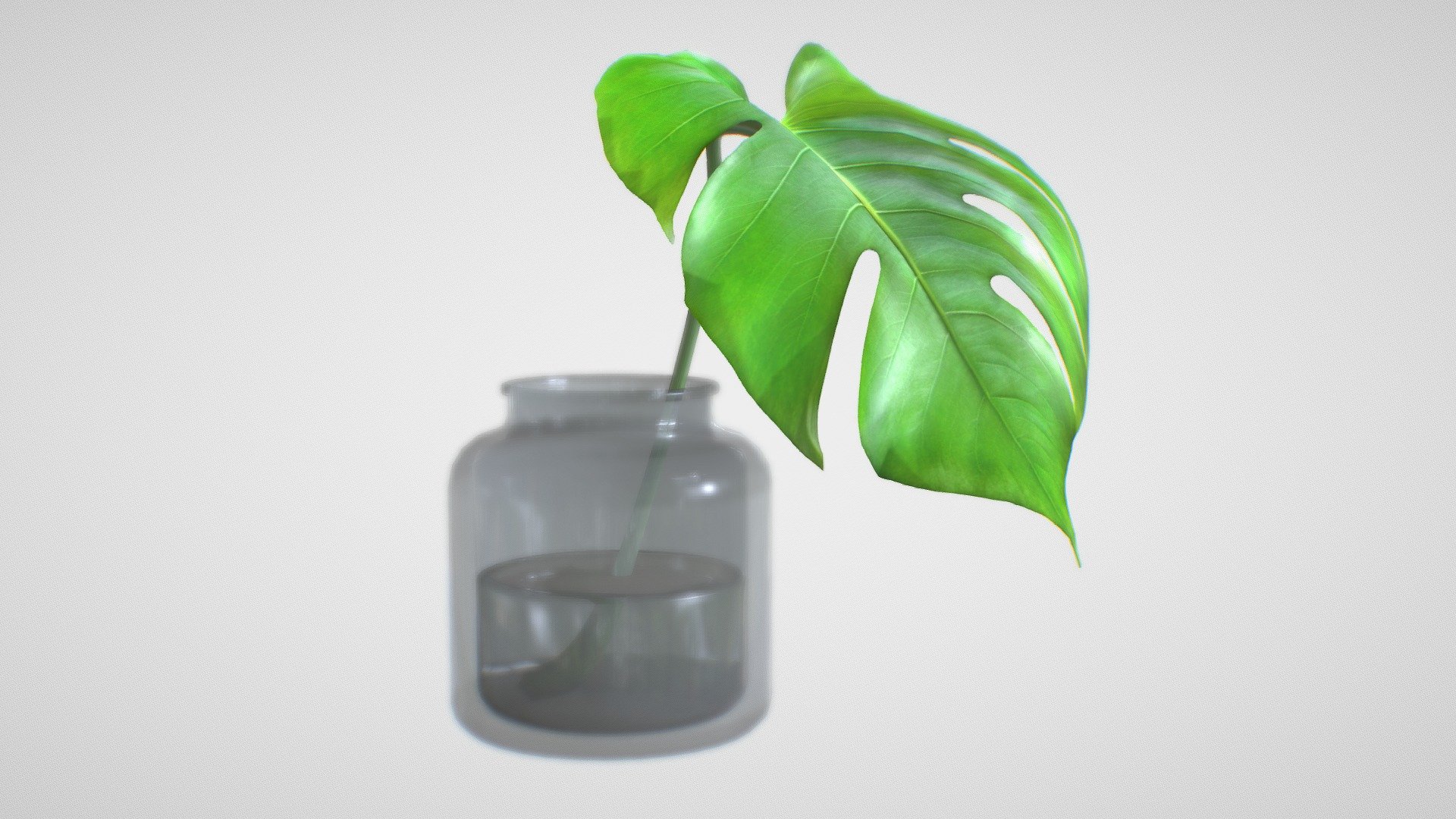 This is based on a personal project line of 1000 house plants for Blender, that for every 3 plants that I made one of them will be free, Currently this is the 3rd project, is a 3D PBR model of a Potted Monstera version B03, created with blender 3.3x.

Model Specification:




Quad based topology, with minimal triangulation

Varied texel density

Naming convention using Unreal Engine standard Naming Convention

2048x2048p
 - Monstera B03 - Download Free 3D model by MozzarellaARC 3d model