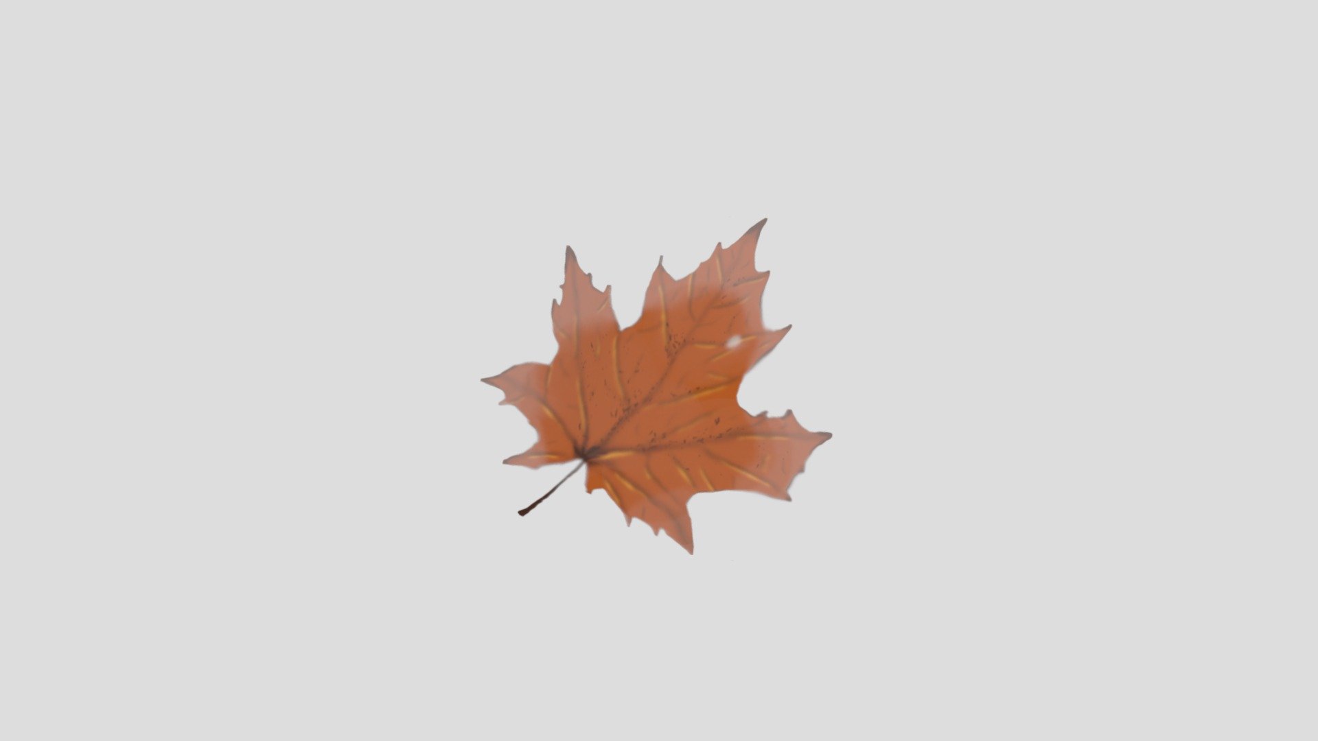 A practaice making leaves and using trancparency 3d model