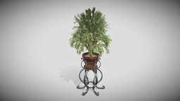 Plant Holder plant, vase, perch, vegetation, iron