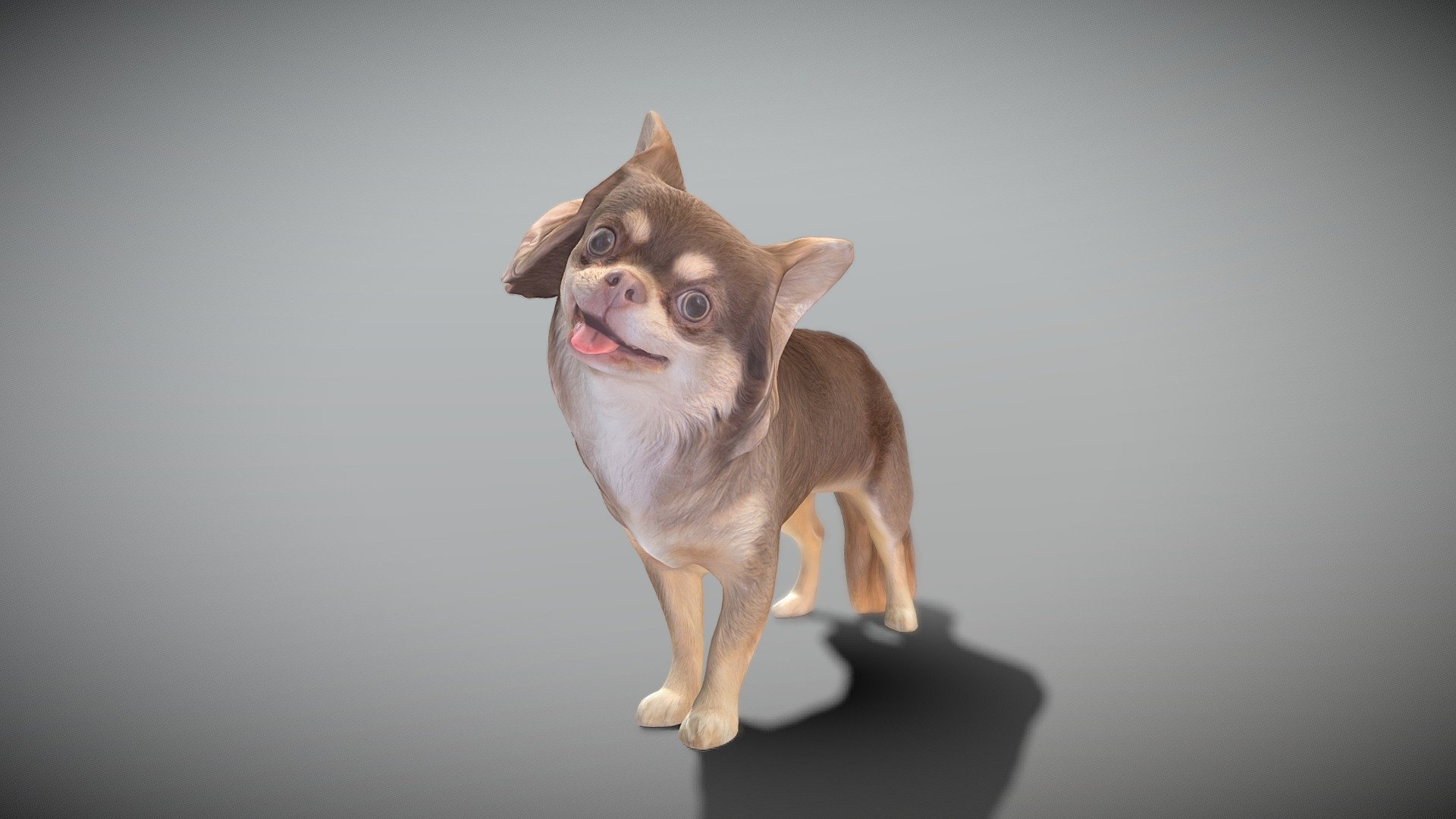 This is a true sized and highly detailed model of a young charming Сhihuahua dog. It will add life and coziness to any architectural visualisation of houses, playgrounds, parques, urban landscapes, etc. 

The product is ready both for immediate use in architectural visualisations, or further render and detailed sculpting in Zbrush.

Technical specifications:




digital double 3d scan model

150k &amp; 30k triangles | double triangulated

high-poly model (.ztl tool with 5 subdivisions) clean and retopologized automatically via ZRemesher

sufficiently clean

PBR textures 8K resolution: Diffuse, Normal, Specular maps

non-overlapping UV map

no extra plugins are required for this model

Download package includes a Cinema 4D project file with Redshift shader, OBJ, FBX, STL files, which are applicable for 3ds Max, Maya, Unreal Engine, Unity, Blender, etc. All the textures you will find in the “Tex” folder, included into the main archive.

3D EVERYTHING

Stand with Ukraine! - Funny dog 29 - Buy Royalty Free 3D model by deep3dstudio 3d model