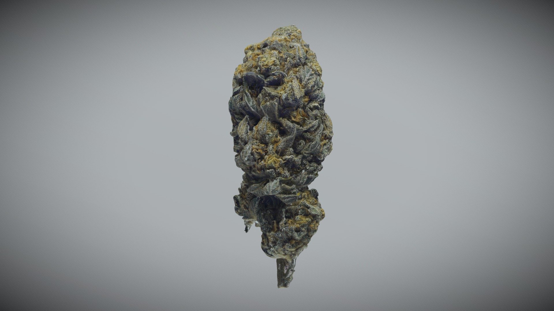 3D scan of a 5 gram bud (aka Justin Trudope).
Special thanks to Delta-9 Cannabis for the product: https://www.delta9.ca/ - 5 Gram Cannabis Bud - 3D model by PATIO Interactive (@thriveindrisption) 3d model