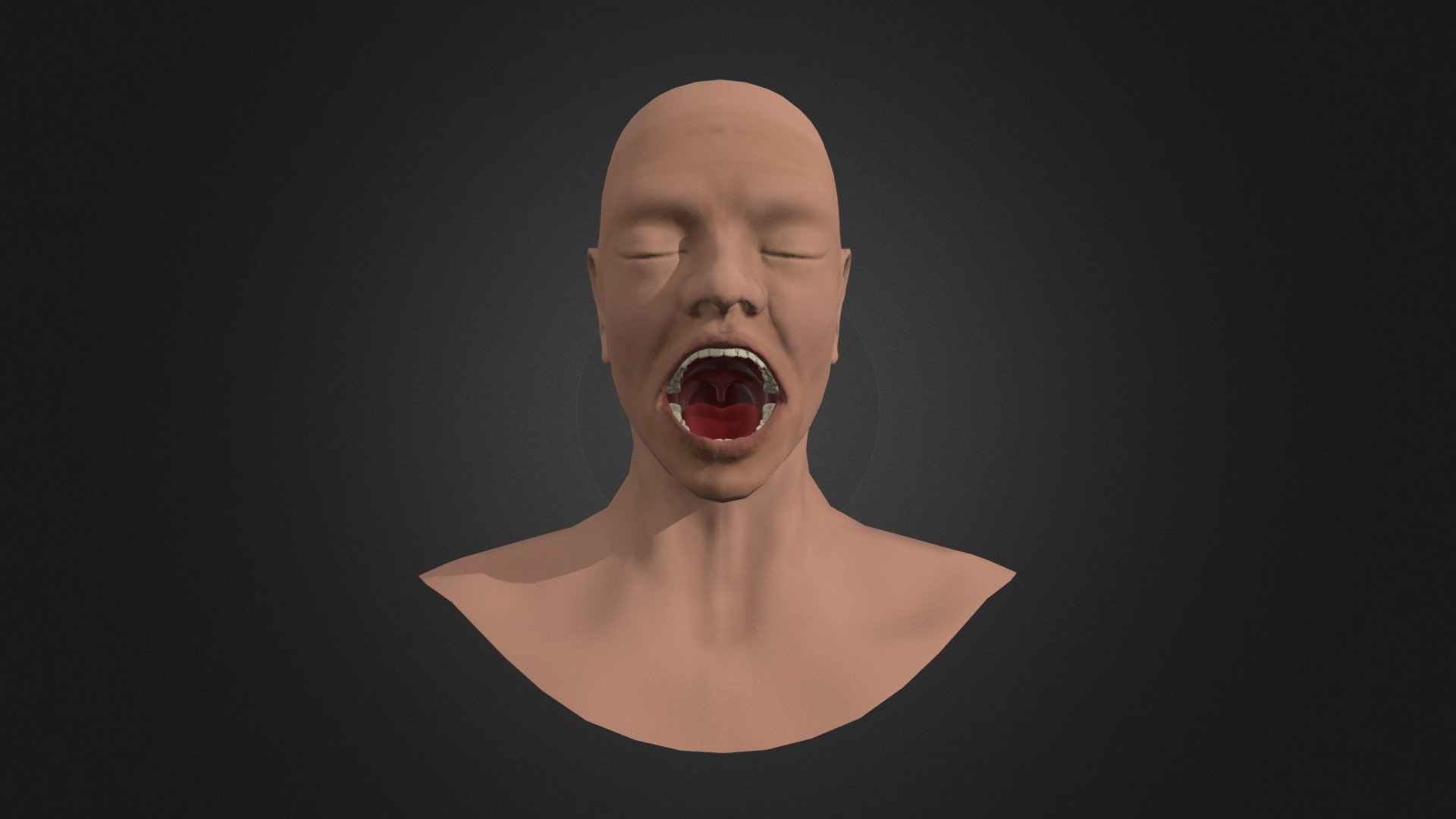 A head model of a patient for a mouth surgery 3d model