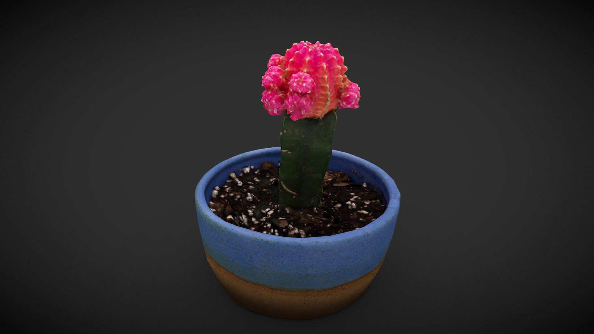 My entry for #LowPolyPlantChallenge. I used photogrammetry techniques to capture the cactus and optimize the model in 3ds Max 3d model