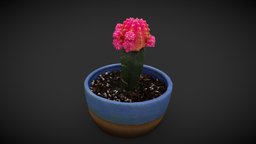 Potted Cactus cactus, potted-plant, lowpolyplantchallenge